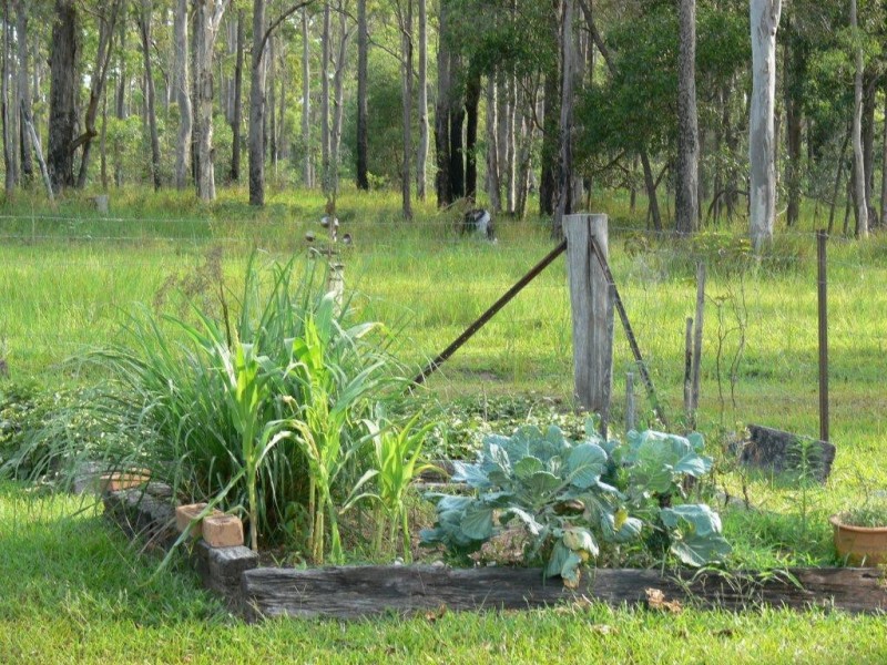 38 Mothersoles Road, Ellangowan NSW 2470