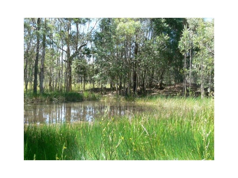 38 Mothersoles Road, Ellangowan NSW 2470