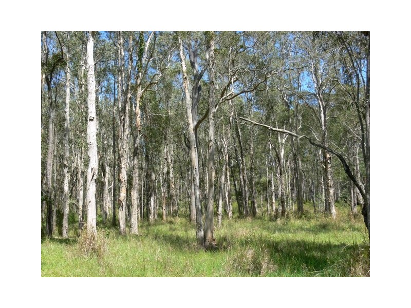 38 Mothersoles Road, Ellangowan NSW 2470