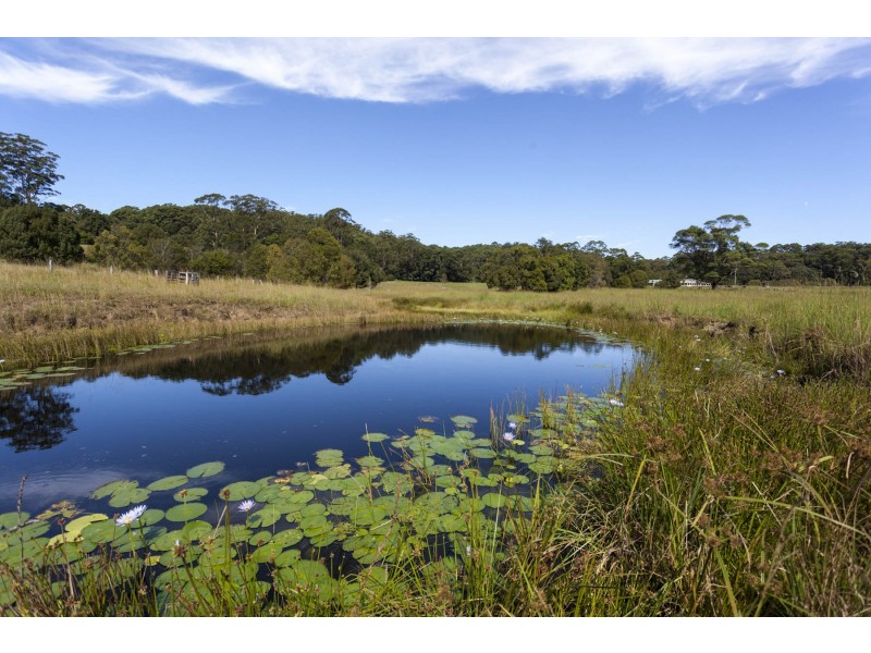 873 Wardell Road, Meerschaum Vale NSW 2477