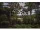 14 Greenhills Drive, Goonellabah NSW 2480
