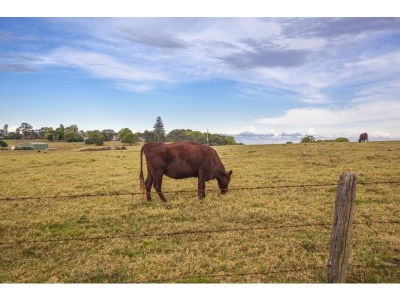 76 Panorama Drive, Alstonville NSW 2477