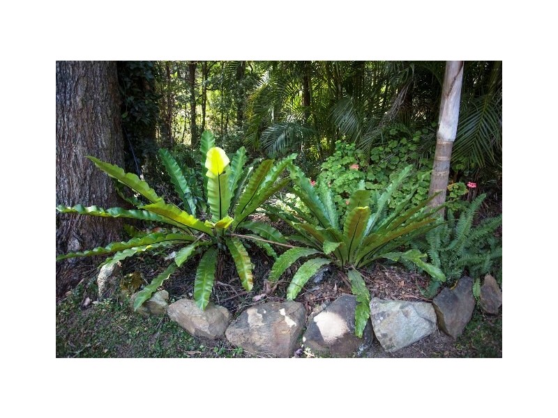 40 Uralba Cutting Road, Uralba NSW 2477