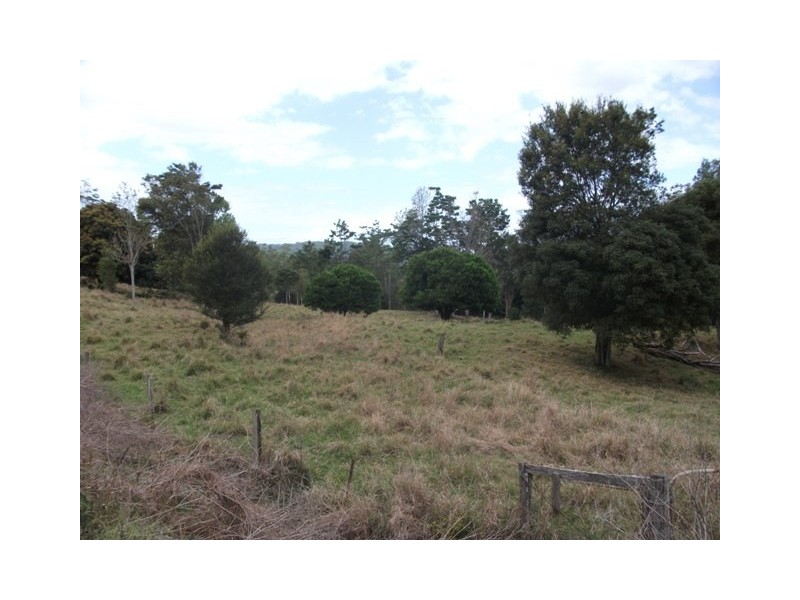 313 Marom Creek Road, Meerschaum Vale NSW 2477
