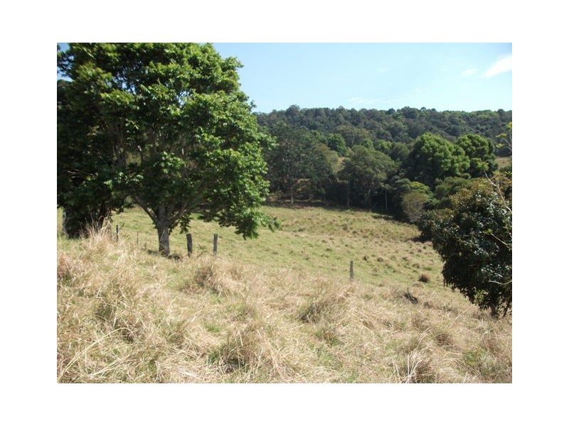 313 Marom Creek Road, Meerschaum Vale NSW 2477