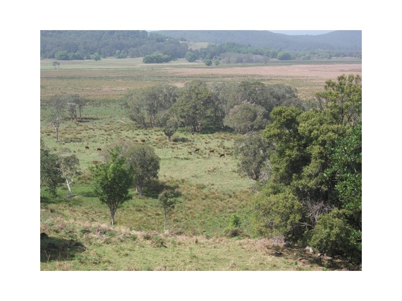 313 Marom Creek Road, Meerschaum Vale NSW 2477