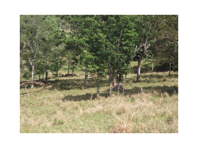 313 Marom Creek Road, Meerschaum Vale NSW 2477