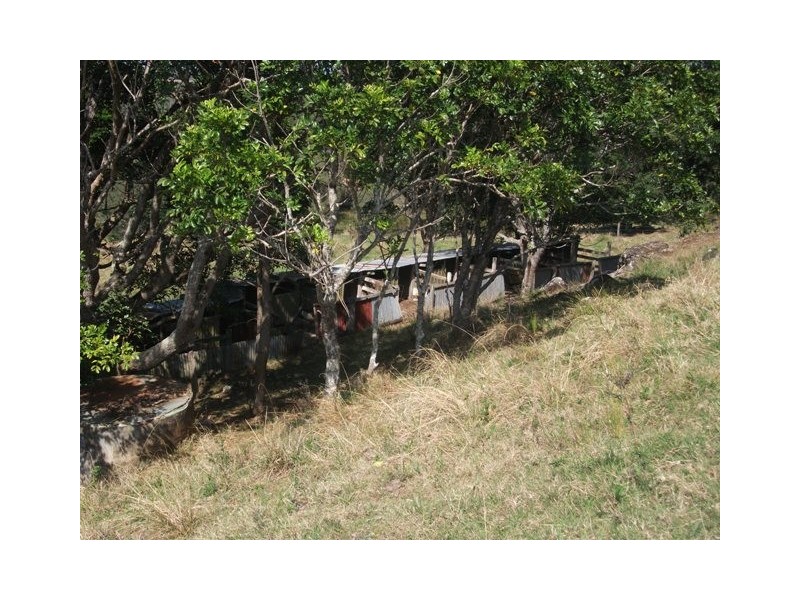 313 Marom Creek Road, Meerschaum Vale NSW 2477