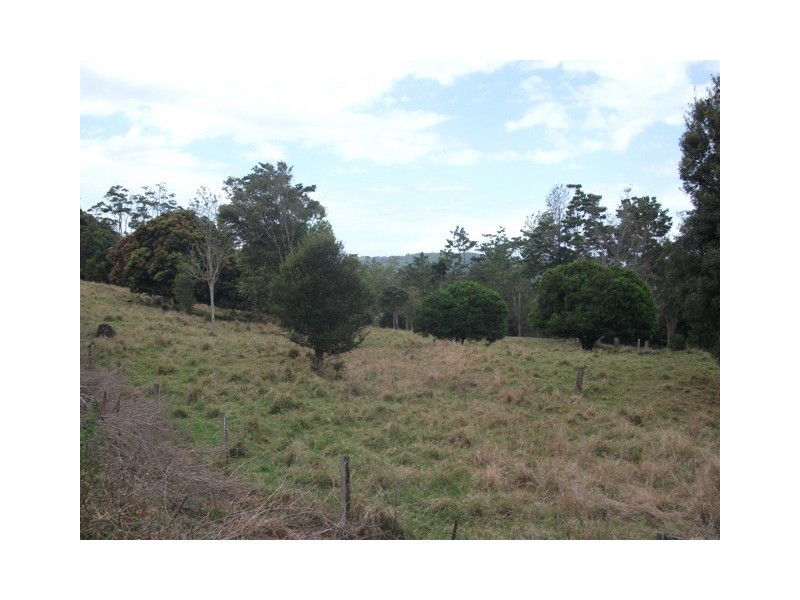 313 Marom Creek Road, Meerschaum Vale NSW 2477