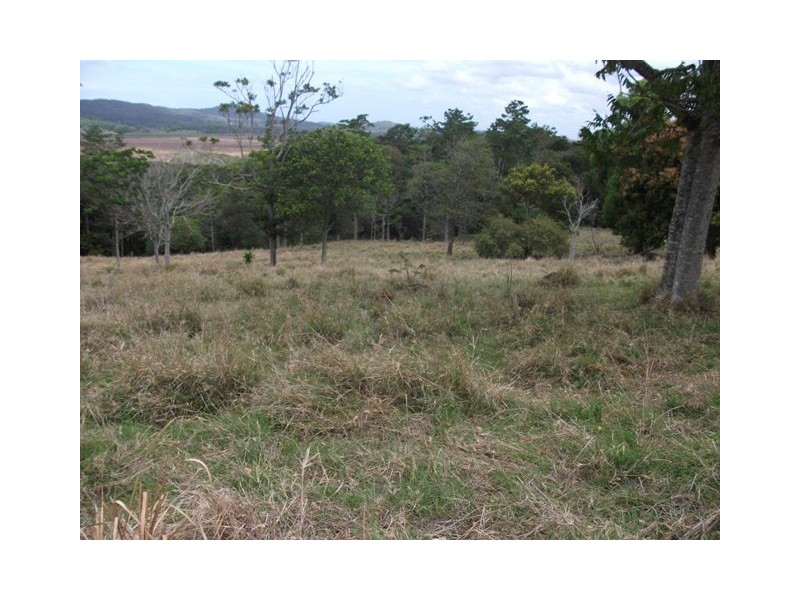 313 Marom Creek Road, Meerschaum Vale NSW 2477