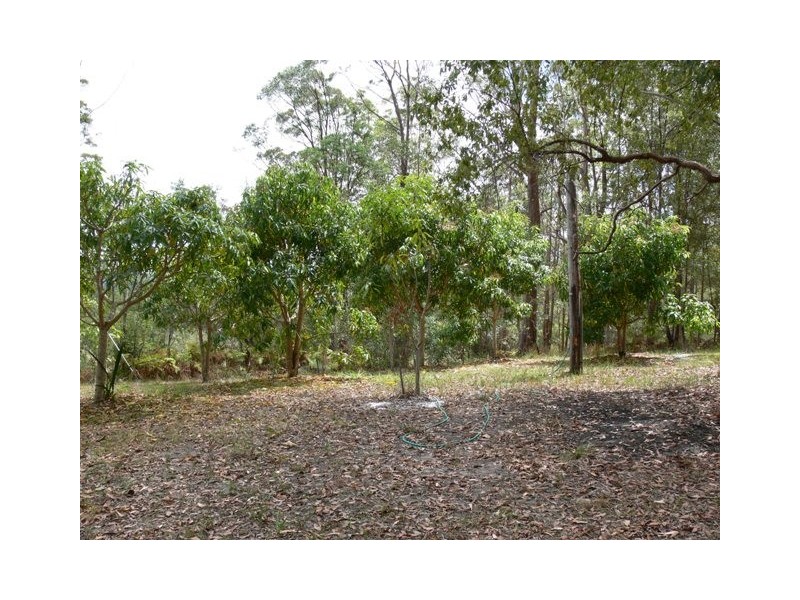 575 Bagotville Road, Meerschaum Vale NSW 2477