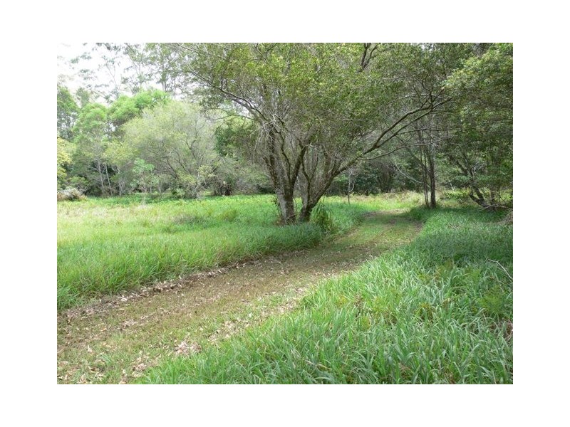 575 Bagotville Road, Meerschaum Vale NSW 2477