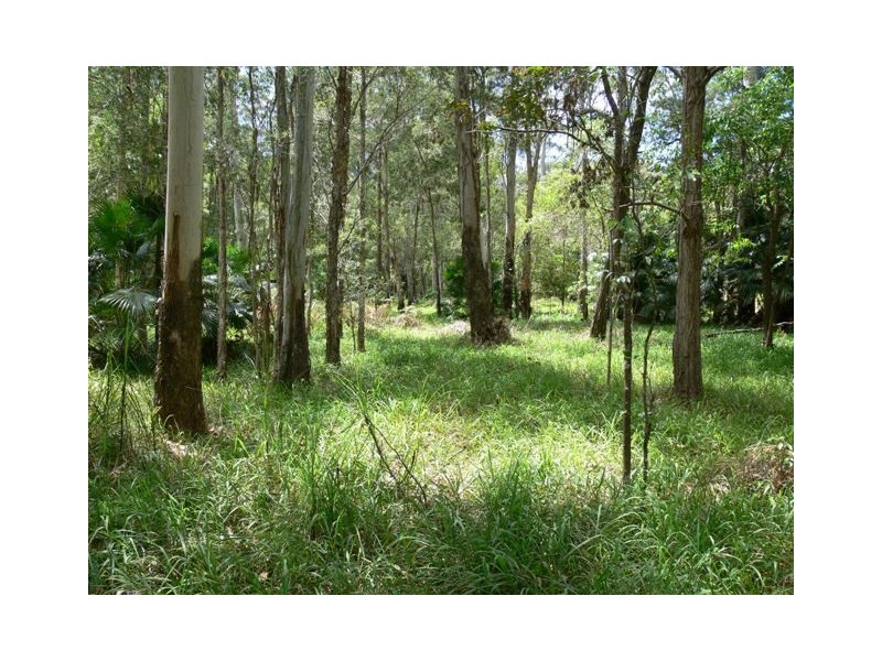 575 Bagotville Road, Meerschaum Vale NSW 2477