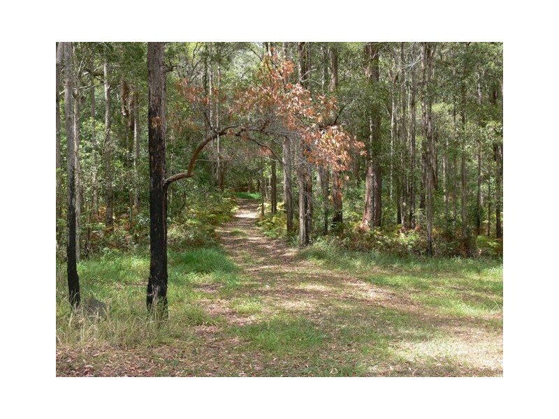 575 Bagotville Road, Meerschaum Vale NSW 2477