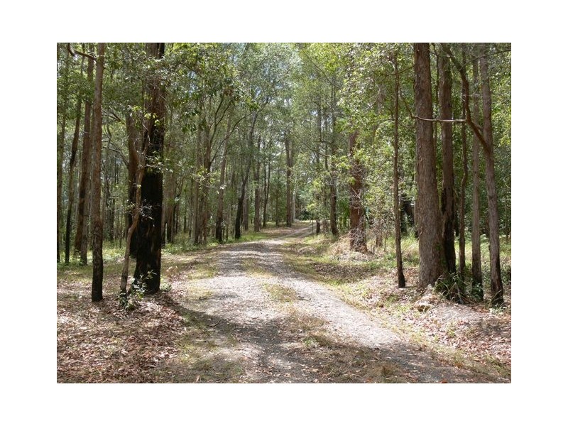 575 Bagotville Road, Meerschaum Vale NSW 2477