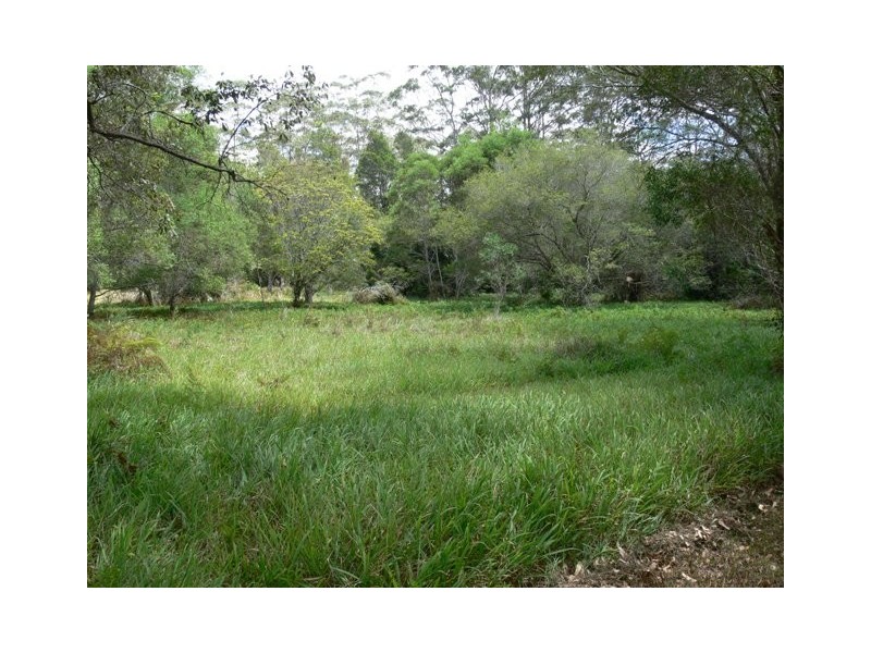 575 Bagotville Road, Meerschaum Vale NSW 2477