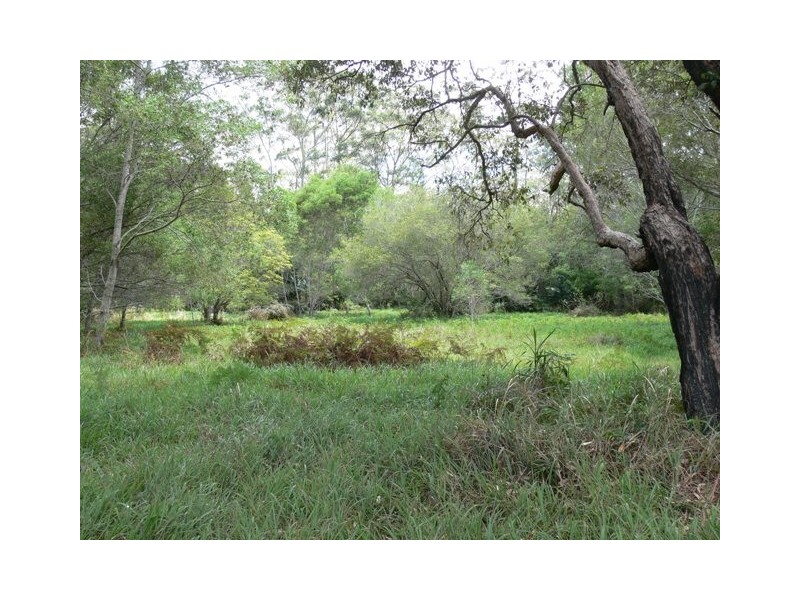 575 Bagotville Road, Meerschaum Vale NSW 2477