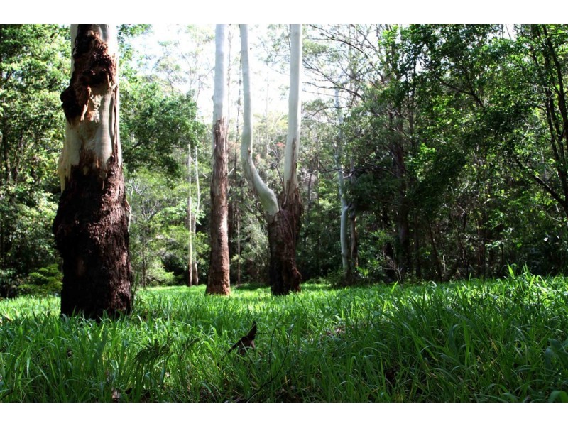 575 Bagotville Road, Meerschaum Vale NSW 2477