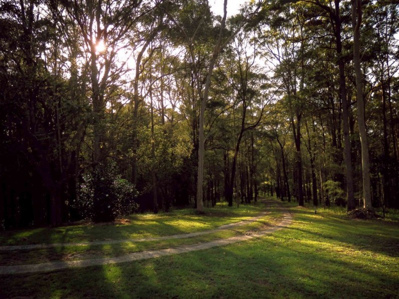 575 Bagotville Road, Meerschaum Vale NSW 2477