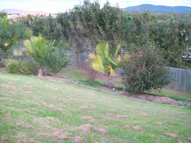 8 Hartwig Cct, Mount Warren Park QLD 4207