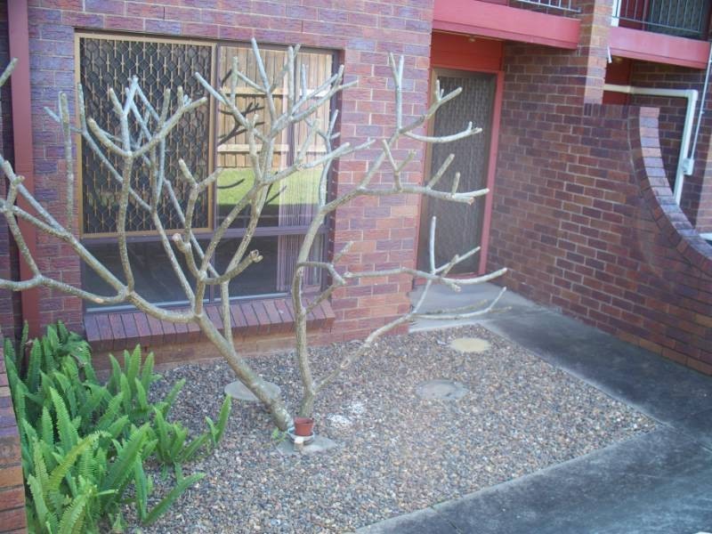 5/93-99 Logan Street, Beenleigh QLD 4207
