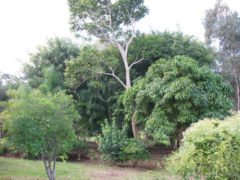 22 Pine Avenue, Lamb Island QLD 4184