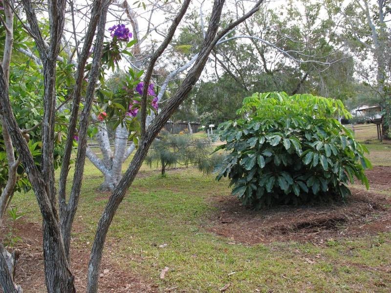 22 Pine Avenue, Lamb Island QLD 4184