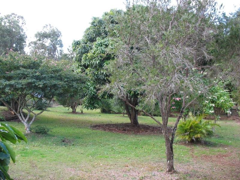 22 Pine Avenue, Lamb Island QLD 4184