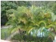 55 Tweedvale St, Beenleigh QLD 4207