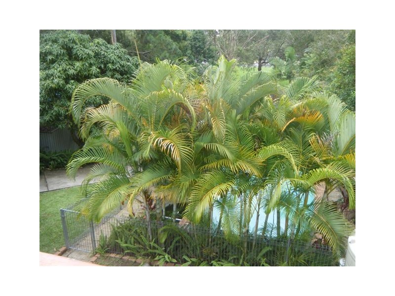 55 Tweedvale St, Beenleigh QLD 4207