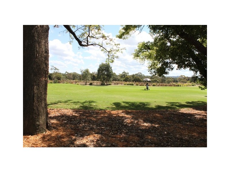 99 Links Ave, Concord NSW 2137