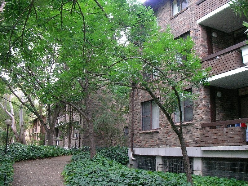 17/31 Fontenoy Rd, Macquarie Park NSW 2113