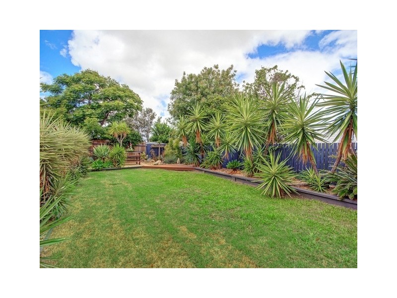 59 Basswood Street, Algester QLD 4115