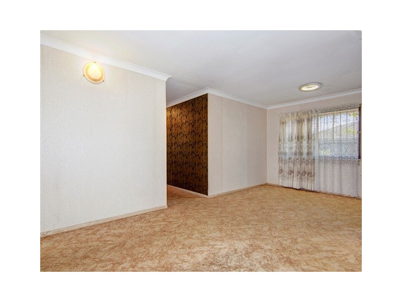 29 Quintinia Street, Algester QLD 4115