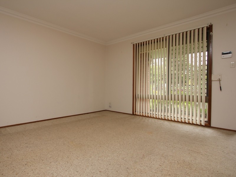 17 Cressida Street, Sunnybank Hills QLD 4109