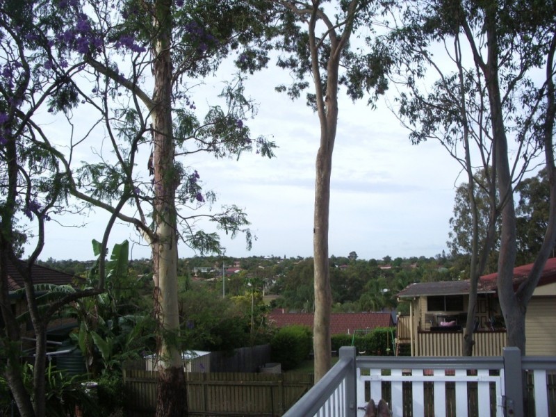 20 Tarzali Street, Algester QLD 4115