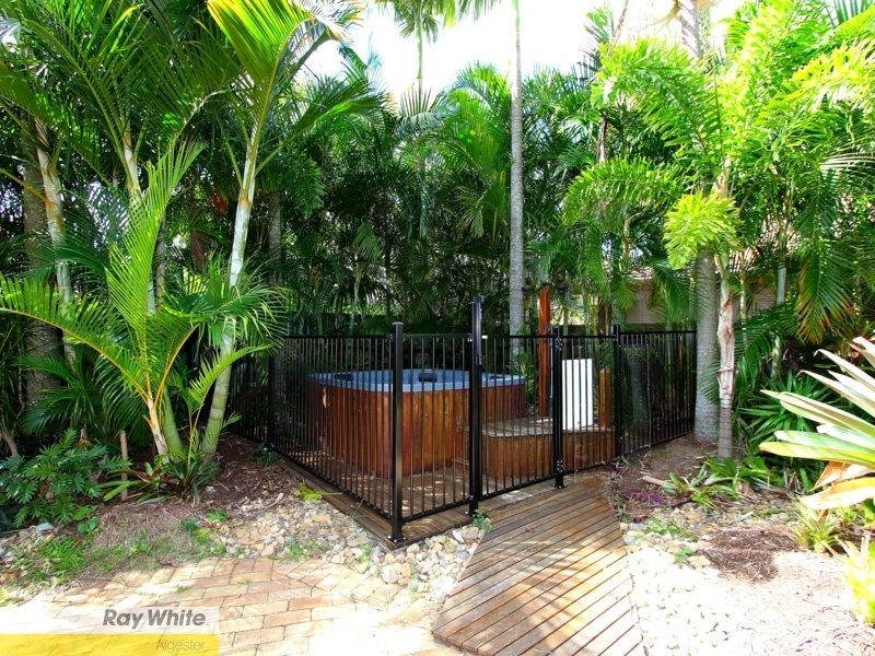 13 Circlewood Court, Algester QLD 4115