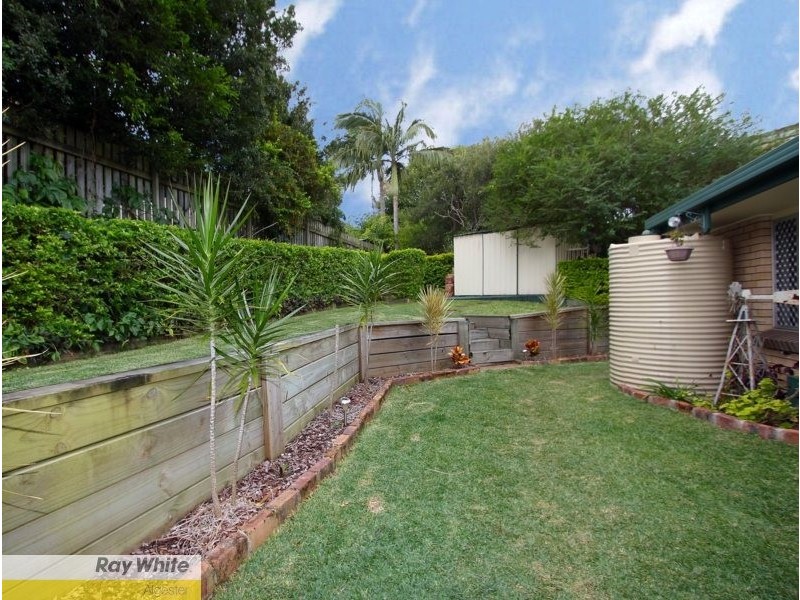 17 Rapanea Street, Algester QLD 4115