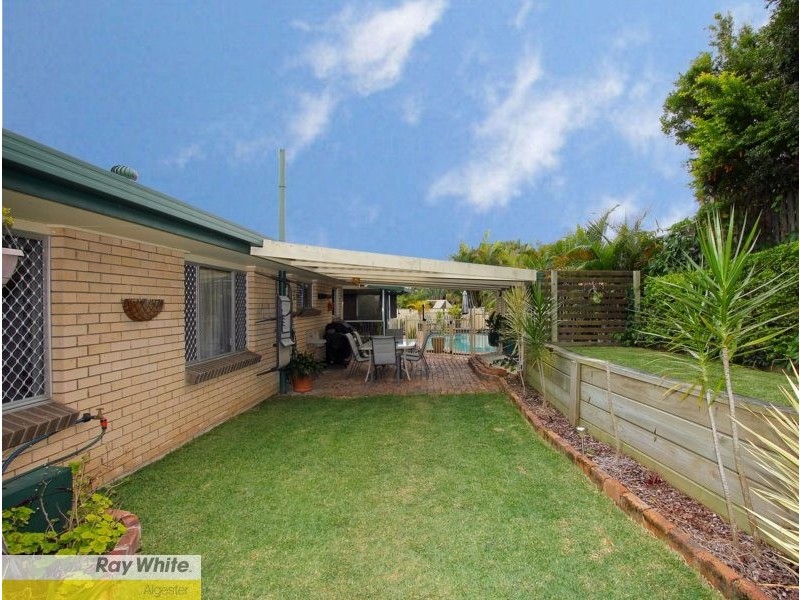 17 Rapanea Street, Algester QLD 4115