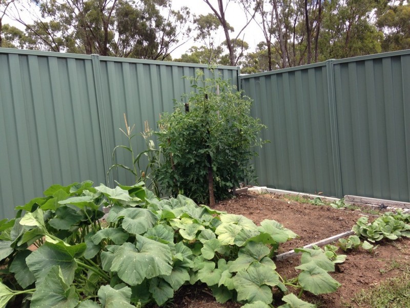 65 Chisholm Crescent, Seymour VIC 3660