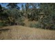 155 Yellow Box Road, Hilldene VIC 3660