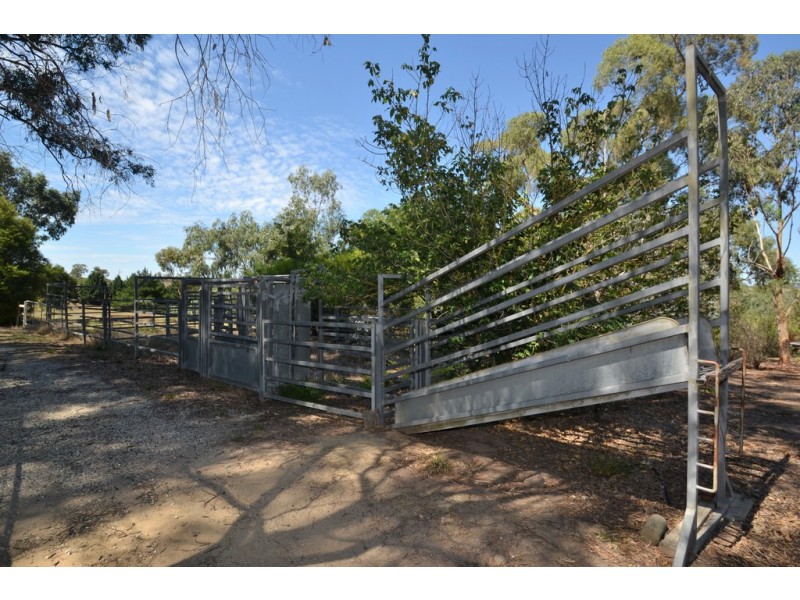 155 Yellow Box Road, Hilldene VIC 3660