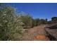 155 Yellow Box Road, Hilldene VIC 3660