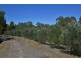 155 Yellow Box Road, Hilldene VIC 3660