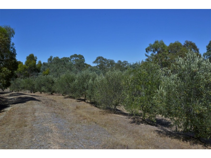 155 Yellow Box Road, Hilldene VIC 3660