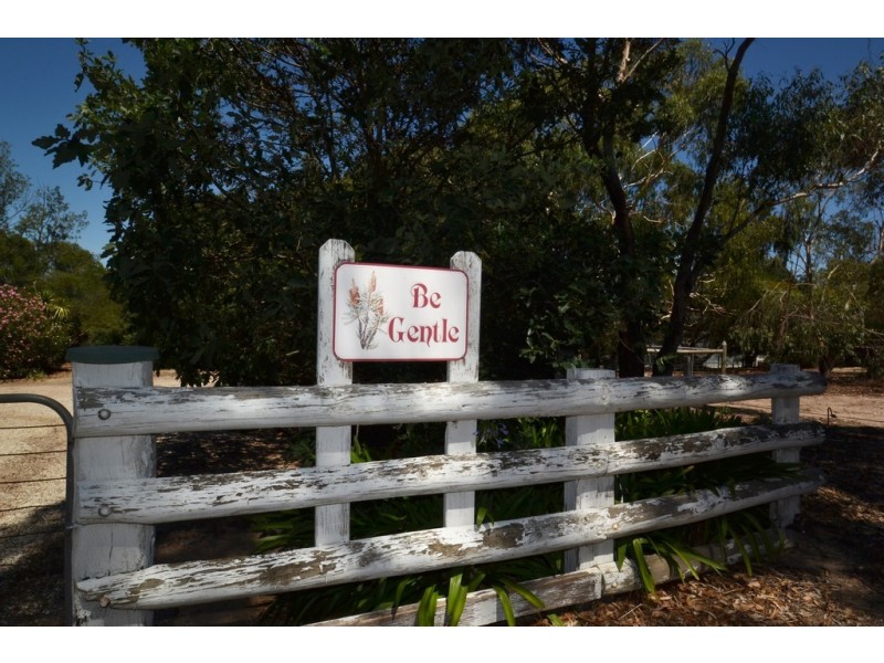 155 Yellow Box Road, Hilldene VIC 3660