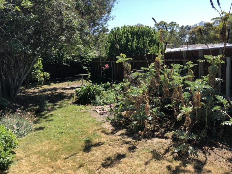 139 Anderson Street, Euroa VIC 3666