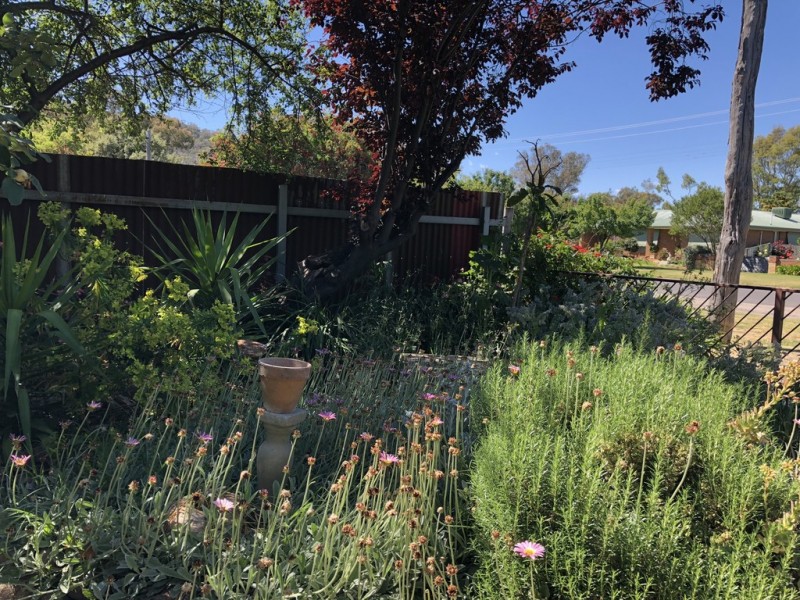 139 Anderson Street, Euroa VIC 3666