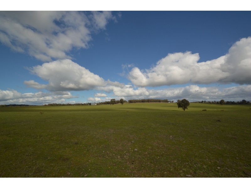 1245 Seymour-Tooborac Road, Hilldene VIC 3660