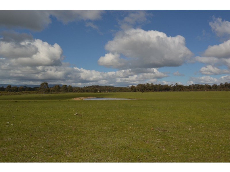 1245 Seymour-Tooborac Road, Hilldene VIC 3660